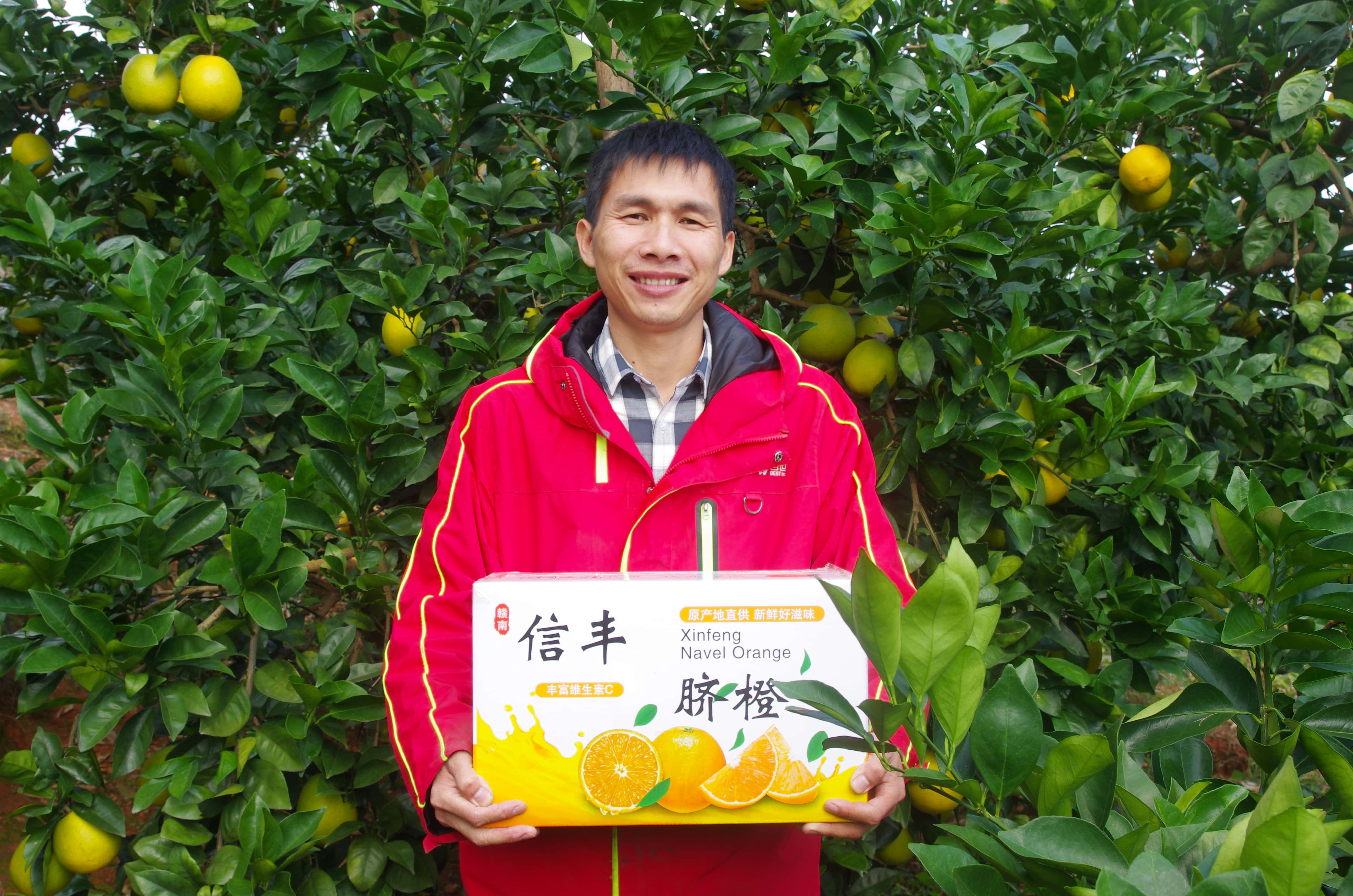 温州寄件